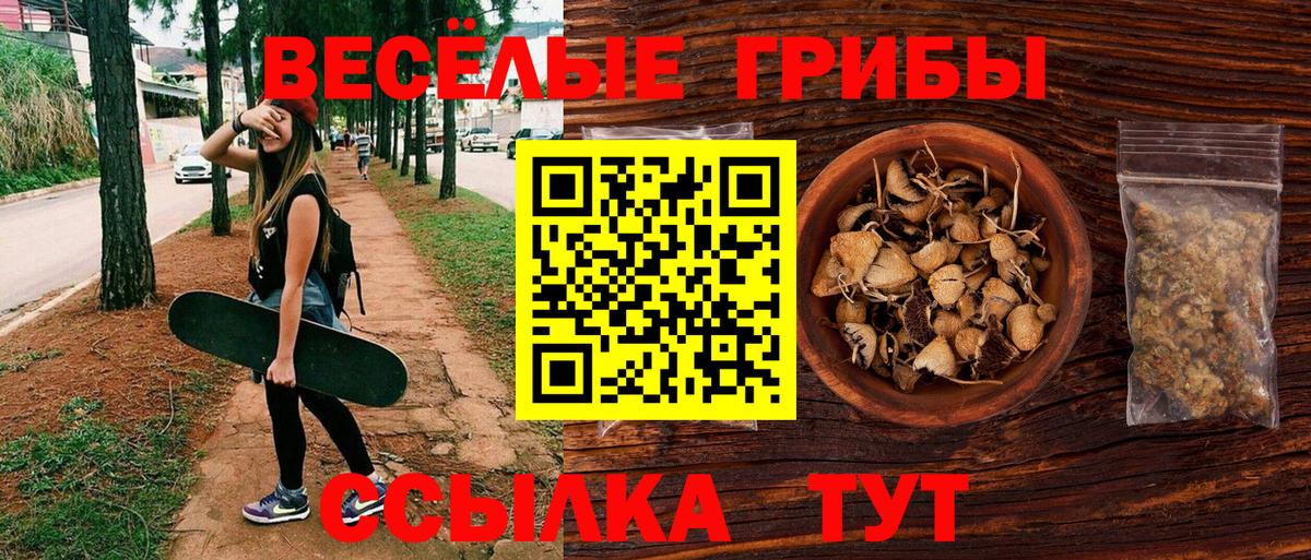 Псилоцибиновые грибы мухоморы Партизанск