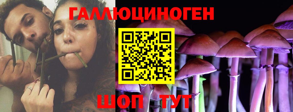 Партизанск  Псилоцибиновые грибы мухоморы  Галлюциногенные грибы мицелий  Вход с VPN 